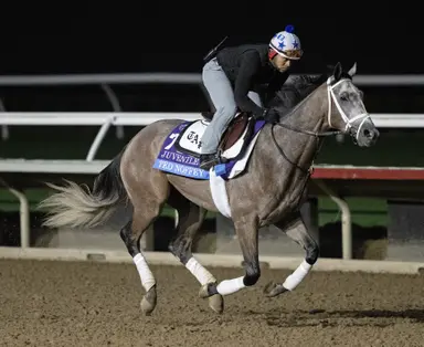 Spendthrift's influence will be felt throughout Breeders' Cup cards