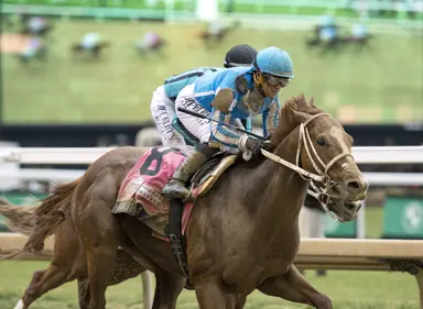 Preakness: Mage returns to track for first time since Derby