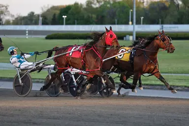 Yonkers:  Huntinthelastdolar ends up atop MGM Borgata Pacing Series standings