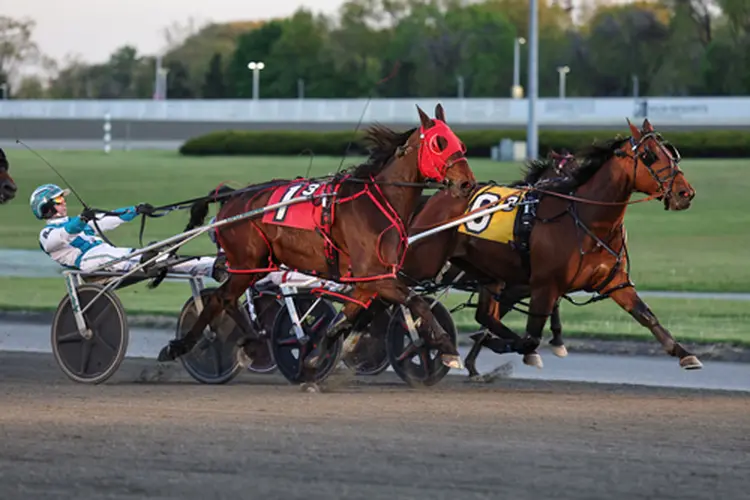 Huntinthelastdolar 4-27-26