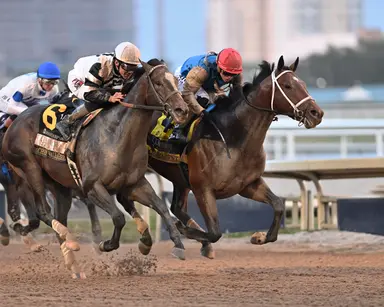 Kentucky Derby 2026: Balls need top-three finish from Chief Wallabee in Florida Derby