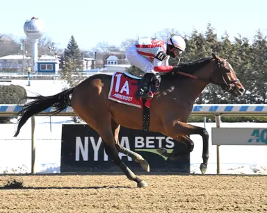Weekend GamePlan: Picks for Peter Pan, Mamzelle, Long Branch