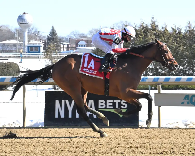 Unique Insight wins maiden at AQU Feb 18 2024
