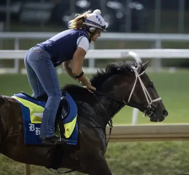 Belmont 2026: Commandment's bandwagon emptied out after Derby seventh