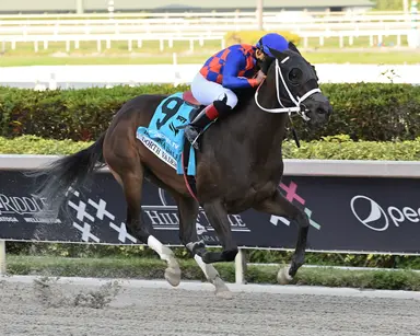 Dorth Vader will run out of Weaver's barn in Acorn