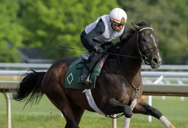 Sovereignty works five furlongs for Stephen Foster
