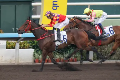 Hugh Bowman seeks to maintain December momentum at Sha Tin