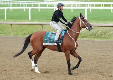Preakness 2026: The Hell We Did has chaotic work during a busy training day at several sites