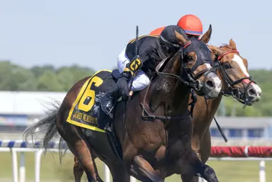 Shifting back to grass, Turf Star rallies late to win James W. Murphy