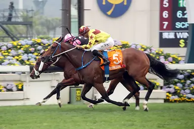 Declan Schuster's Hong Kong Selections and Analysis for Sunday, September 24, 2023