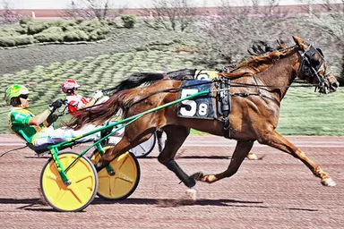 Pocono:  Concise, Allioop Blue Chip now two-for-two in Weiss Series