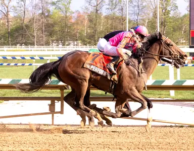 Preakness: McGaughey still thinks about epic 1989 Triple Crown rivalry