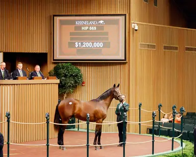 Keeneland September keeps rolling in Book 2, selling brother to Mage for $1.2M