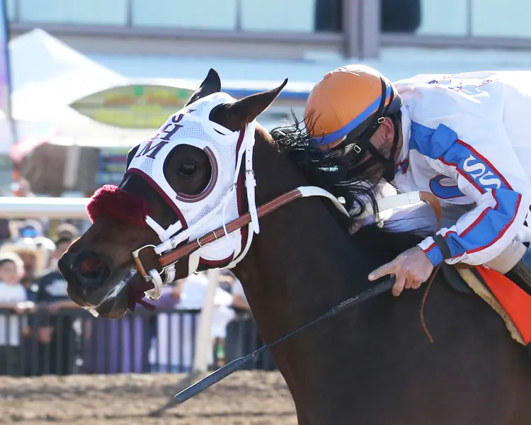 WILD ON ICE - 18th Running of The Sunland Derby - 03-26-23 - R10 - Sunland Park - Inside Finish 2.jpg