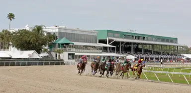 DRF's Horse Racing Playbook for Saturday, February 28