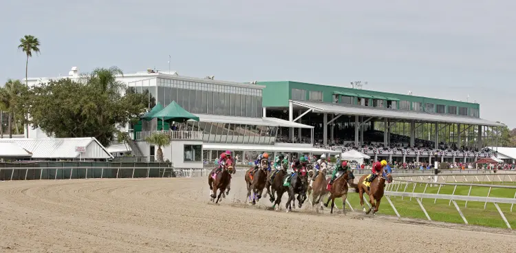 Tampa Bay Downs