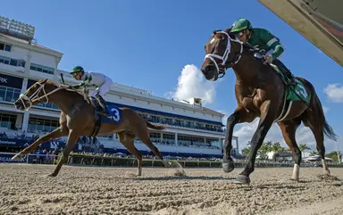 Born Noble returns from long layoff
