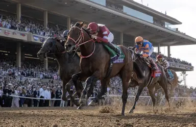Forever Young towering presence in Saudi Cup