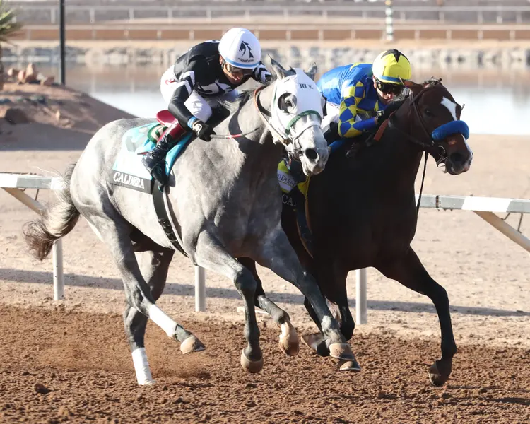 GETAWAY CAR - Sunland Derby - 20th Running  - 02-16-25 - R09 - Sunland Park - Stretch.jpg