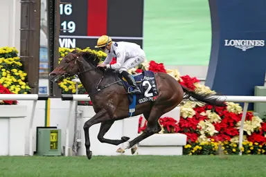 Hong Kong star Golden Sixty retired from racing