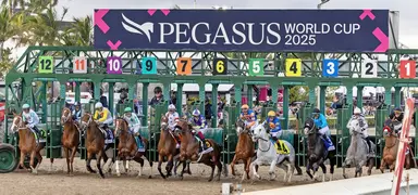Total wagering in January up slightly from last year