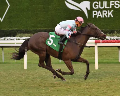 Casse duo primed for allowance sprint