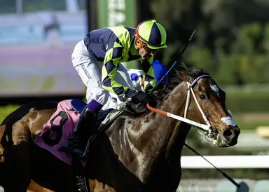 Vodka Vodka under consideration for Pat O'Brien