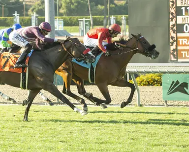 Top contenders stretch out in pair of allowances