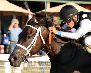 Seneca Park shows new dimension in Untapable Stakes victory