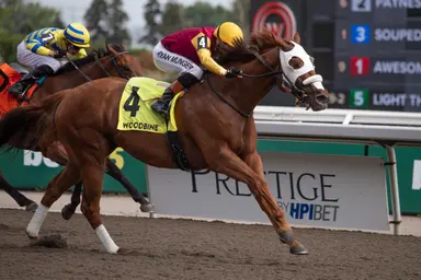 Poulin in O T prevails in Pink Lloyd Stakes