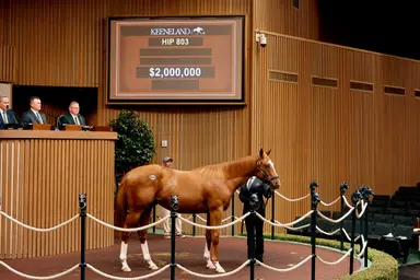 Keeneland September produces three $2 million yearlings on Day 4