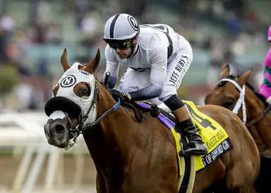 King of Gosford goes for sixth stakes win in Wickerr