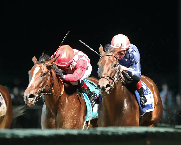 NICHE - The Charles Town Oaks G2 - 08-28-26 - R10 - Charles Town - Inside Finish 01 - Renee Torbit
