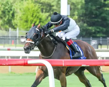 Determined Kingdom takes fourth Punch Line as Trombetta grabs three victories