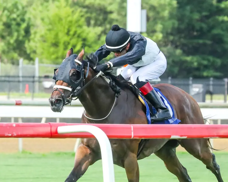 DETERMINED KINGDOM - The 20th Running of The Punch Line Stakes - 07-11-26 - R09 - Colonial Downs - Inside Finish 01