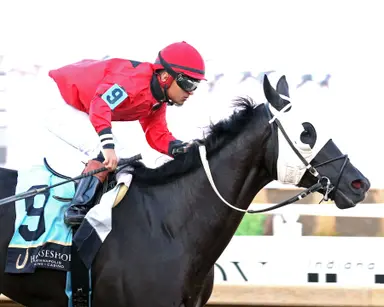 C. J's Storm has speedy pair to chase in Nobody Listens Handicap
