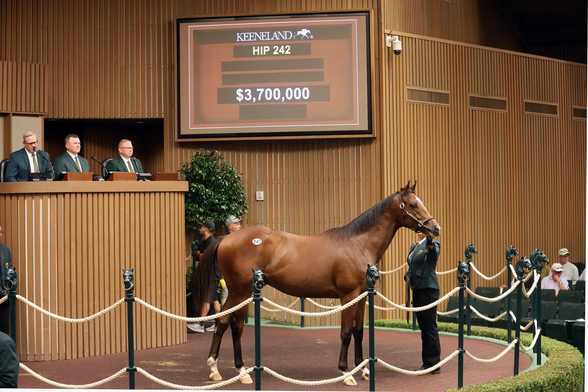 Keeneland September yearling sale reaches new heights during Tuesday’s second day