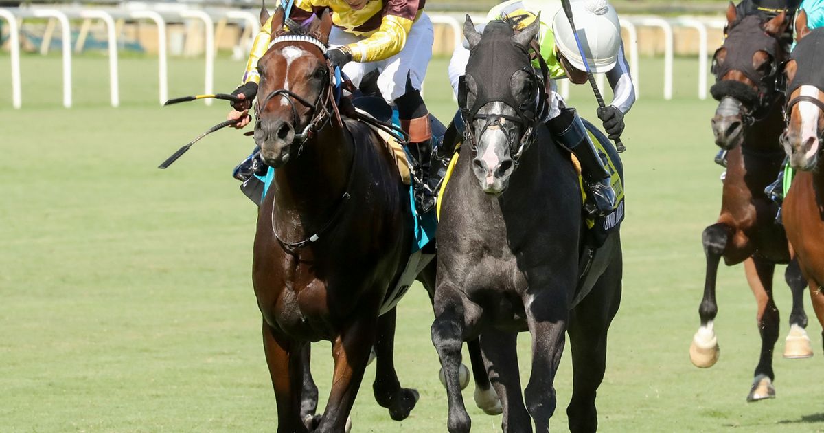 Lennox the Grey noses out The Big Con to win Old Dominion Derby