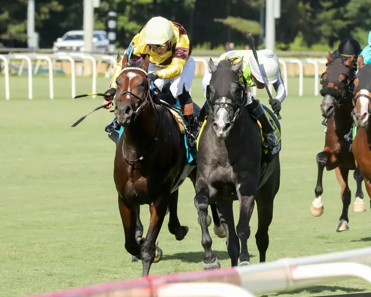 LENNOX THE GREY - The 23rd Running of The Old Dominion Derby - 09-07-26 - R09 - Colonial Downs - Inside Finish 01