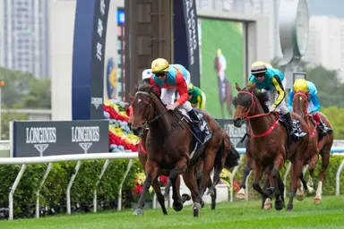 FWD Champions Day Preview