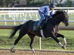Knightsbridge works toward another test in Pacific Classic