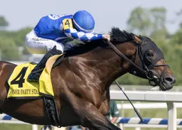 Fort Washington to face stout Brown trio in Bernard Baruch