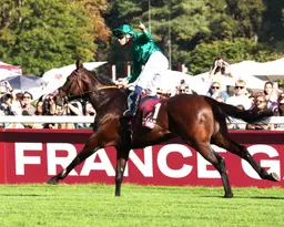 France: Daryz powers to second consecutive Prix de l’Arc de Triomphe win; could be final race