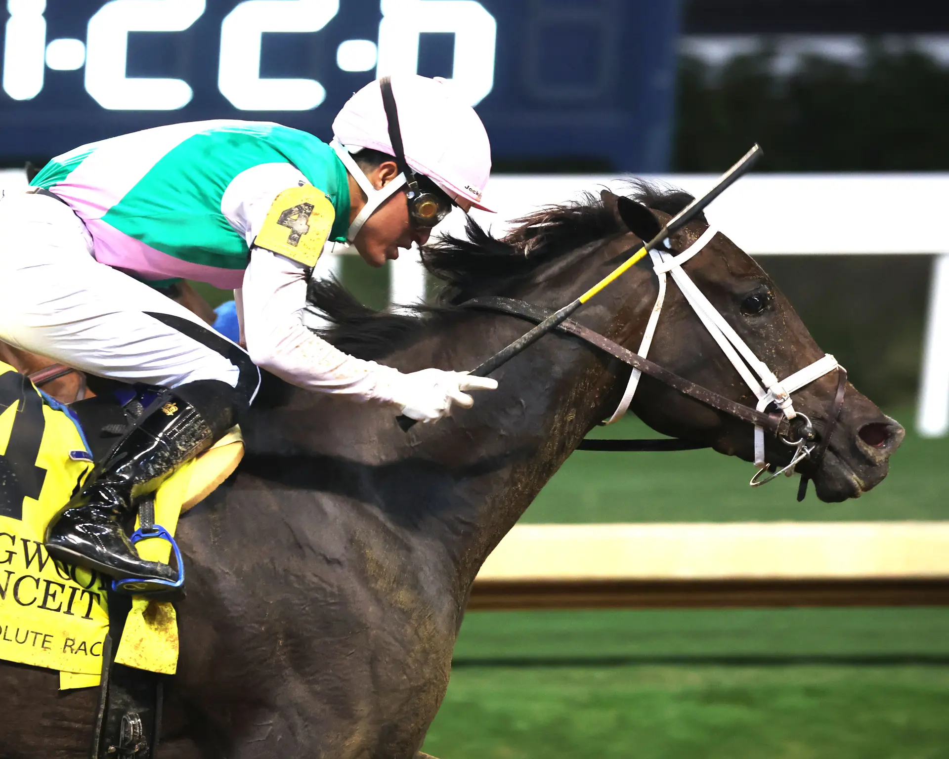 Conceit edges Explora in Dogwood; Consequent dominates Seneca