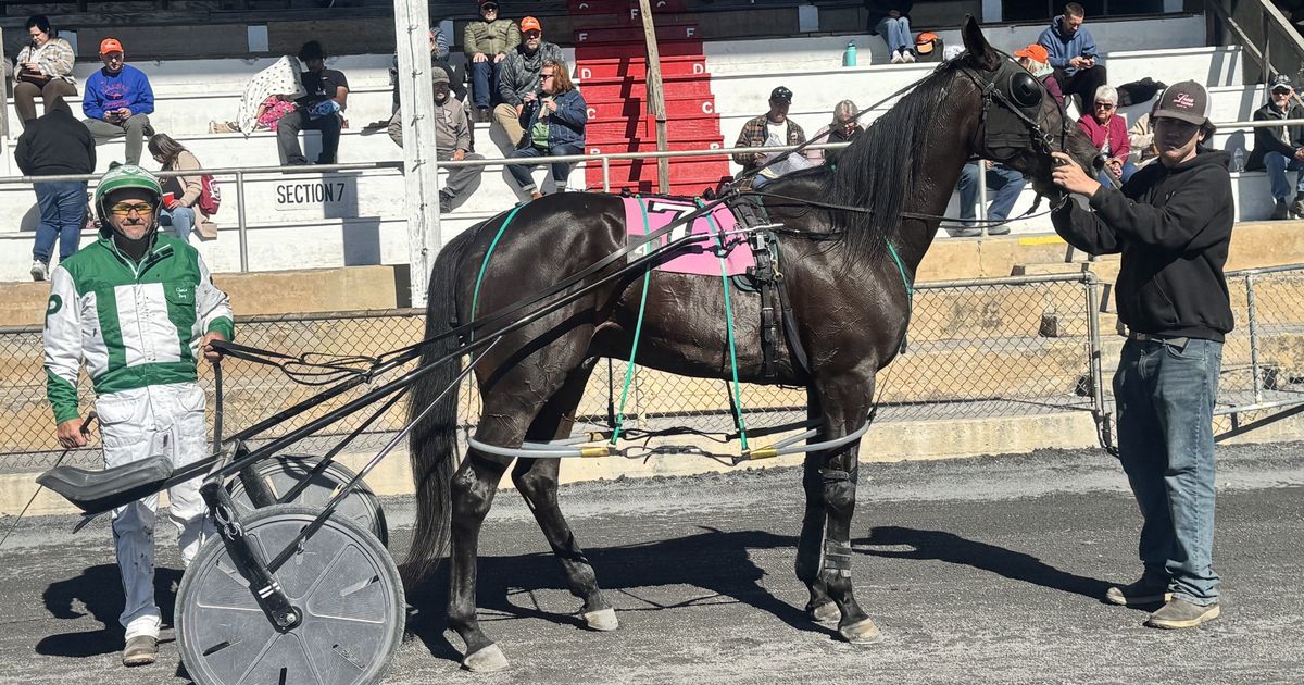 Shenandoah Downs: Horse of the Meet won by locally-based first time owner