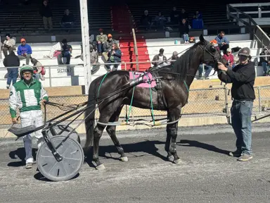 Shenandoah Downs: Horse of the Meet won by locally-based first time owner