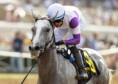 She's No Quant pointed to Torrey Pines