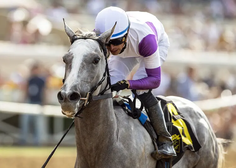She's No Quant05.7.24.26.BA