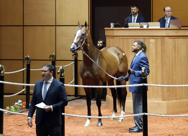 Our Moneyman sells at F-T HORA sale July 14 2026