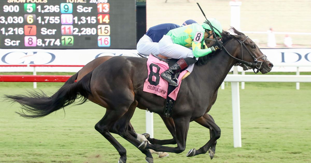 Storm's Wake unleashes late run to nip Soloist in Old Dominion Oaks